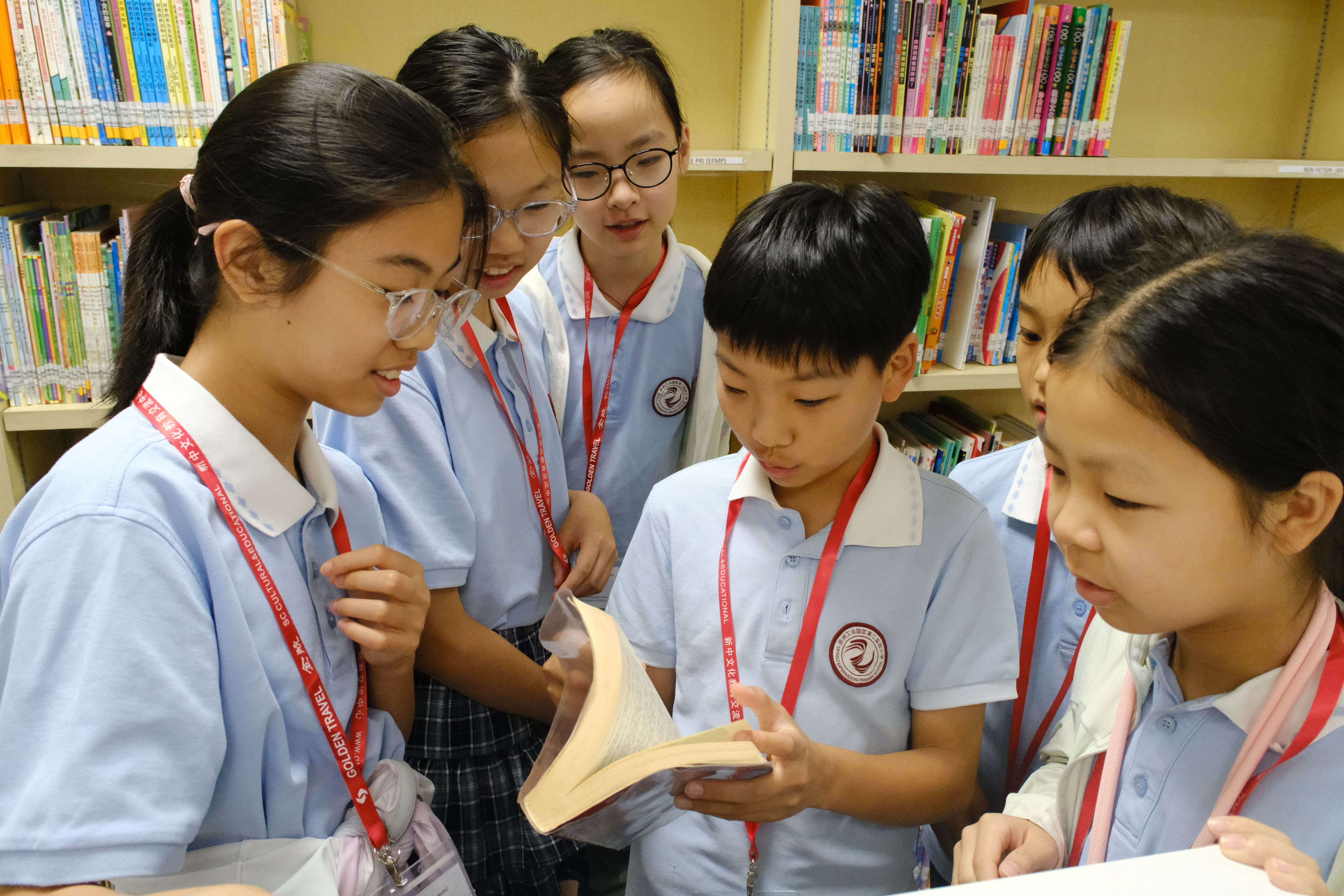Curious minds explored Beacon Primary's library and reading collection. 